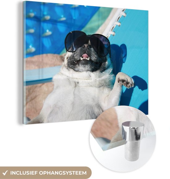 MuchoWow® Peinture sur Verre - Chien - Drôle - Lunettes de Soleil - Enfants - Garçons - Filles - Enfant - 160x120 cm - Peintures sur Verre Peintures - Photo sur Glas