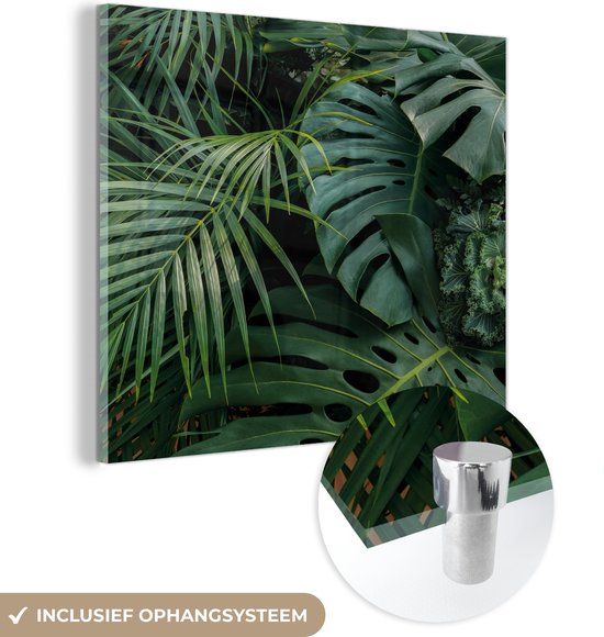 MuchoWow® Glasschilderij 50x50 cm - Schilderij acrylglas - Planten - Jungle - Bladeren - Tropisch - Foto op glas - Schilderijen