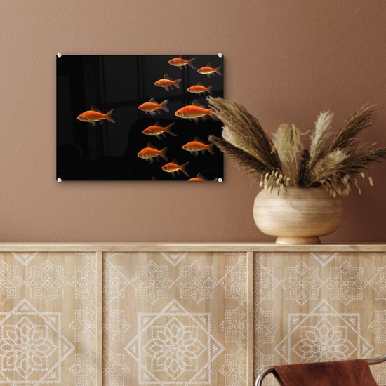 MuchoWow® Peinture sur verre 40x30 cm - Peinture sur verre acrylique - Poisson rouge - Animaux - Zwart - Photo sur verre - Peintures