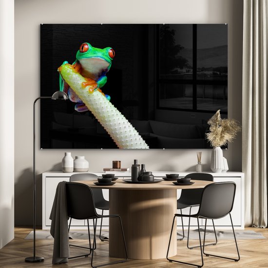 MuchoWow® Peinture sur verre 180x120 cm - Peinture sur verre acrylique - Grenouille - Animaux - Plante - Photo sur verre - Peintures