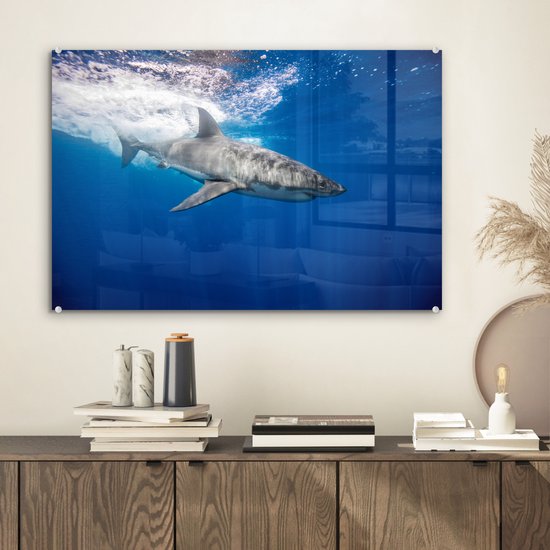 MuchoWow® Peinture sur verre 60x40 cm - Peinture sur verre acrylique - Requin - Mer - Water - Photo sur verre - Peintures