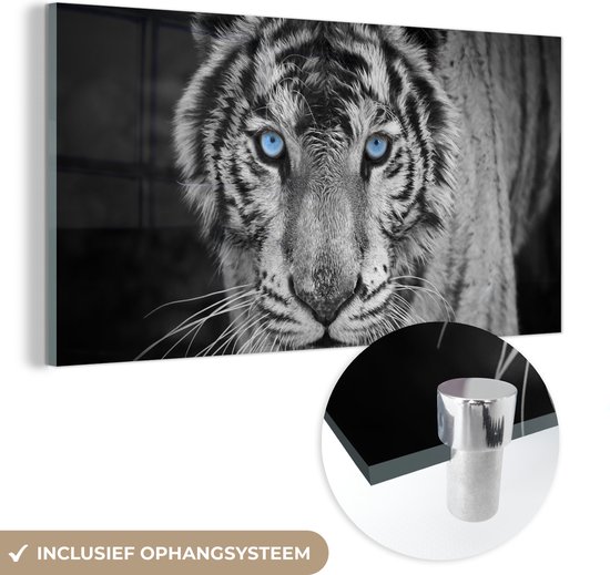 Glasschilderij - Foto op glas - Acrylglas - Dieren - Tijger - Ogen - Blauw - 40x20 cm - Glasschilderij tijger - Glasschilderij zwart wit - Muurdecoratie glas - Wanddecoratie dieren