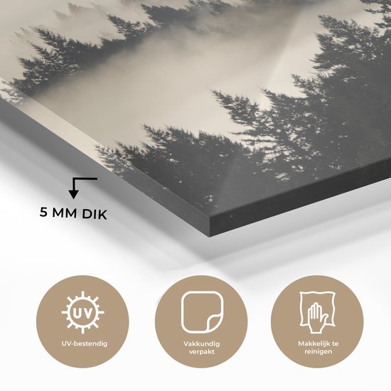 MuchoWow® Peinture sur Verre - Illustration Zwart& Blanc de Redwood dans le Brouillard - 90x60 cm - Peintures sur Verre Acrylique - Photo sur Glas