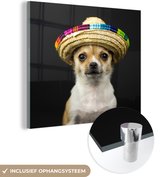 MuchoWow® Glasschilderij 20x20 cm - Schilderij acrylglas - Hond - Sombrero - Zwart - Foto op glas - Schilderijen