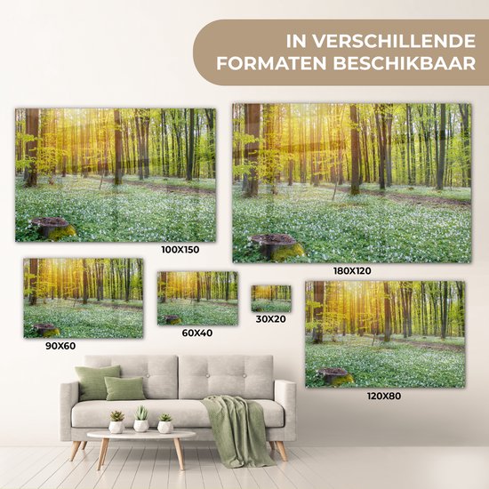 MuchoWow® Peinture sur verre 60x40 cm - Peinture acrylique sur verre - Forêt verte illuminée par des rayons de lumière - Photo sur verre - Peintures