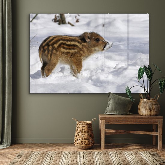 Peinture sur Verre - Sanglier - Animal - Neige - 150x100 cm - Peintures sur Verre Peintures - Photo sur Glas