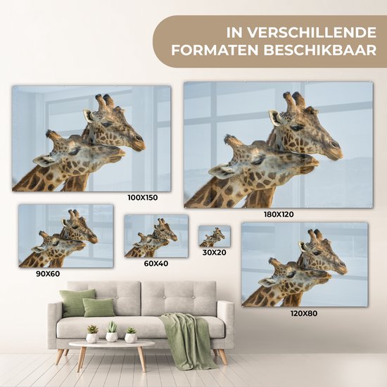 Peinture sur Verre - Girafes - Animaux - Ciel - 30x20 cm - Peintures Plexiglas