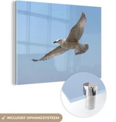 MuchoWow® Glasschilderij 120x90 cm - Schilderij acrylglas - Een zilvermeeuw tijdens het vliegen - Foto op glas - Schilderijen