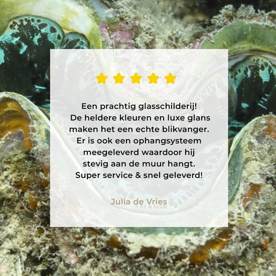 Gros plan d'une palourde de police colorée à Whitsunday Islands Plexiglass 40x30 cm - petit - Tirage photo sur Glas (décoration murale en plexiglas)