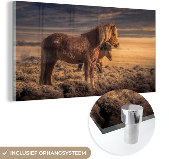 MuchoWow® Glasschilderij 160x80 cm - Schilderij acrylglas - Twee IJslander paarden bij zonsondergang - Foto op glas - Schilderijen