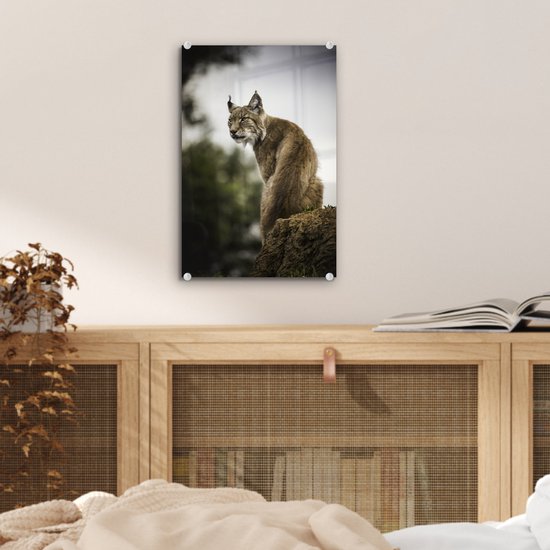 ® Glasschilderij 20x30 cm - Schilderij acrylglas - Lynx zit op een steen - Foto op glas - Muurdecoratie woonkamer - Wanddecoratie slaapkamer - Schilderijen