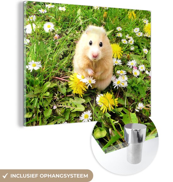 MuchoWow® Glasschilderij 40x30 cm - Schilderij acrylglas - Hamster - Bloemen - Gras - Foto op glas - Schilderijen