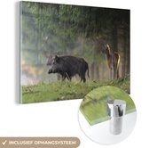 MuchoWow® Glasschilderij 30x20 cm - Schilderij acrylglas - Everzwijn - Hert - Bos - Foto op glas - Schilderijen