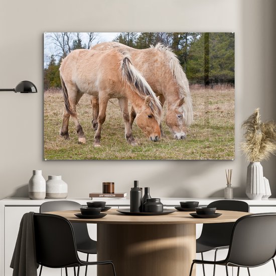 MuchoWow® Peinture sur verre 120x80 cm - Peinture sur verre acrylique - Deux chevaux du fjord au pâturage dans un champ d'herbe - Photo sur verre - Peintures