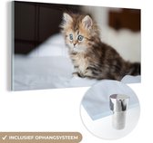 MuchoWow® Glasschilderij 40x20 cm - Schilderij acrylglas - Schattige Perzische kitten - Foto op glas - Schilderijen