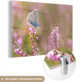 MuchoWow® Glasschilderij 90x60 cm - Schilderij acrylglas - Vlinder - Bloem - Vleugels - Foto op glas - Schilderijen
