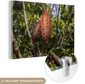 MuchoWow® Glasschilderij 180x120 cm - Schilderij acrylglas - Tropische kleuren van de peulenschil om de cacaobonen heen - Foto op glas - Schilderijen