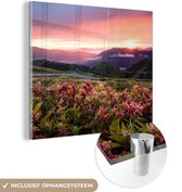 MuchoWow® Glasschilderij 90x90 cm - Schilderij acrylglas - Bloemen - Bergen - Landschap - Nacht - Lucht - Roze - Foto op glas - Schilderijen