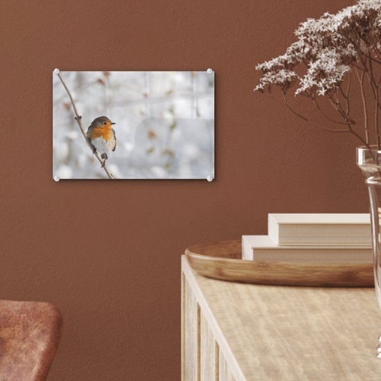 Robin sur une fine branche en plexiglas d'hiver 30x20 cm - petit - Tirage photo sur Glas (décoration murale en plexiglas)