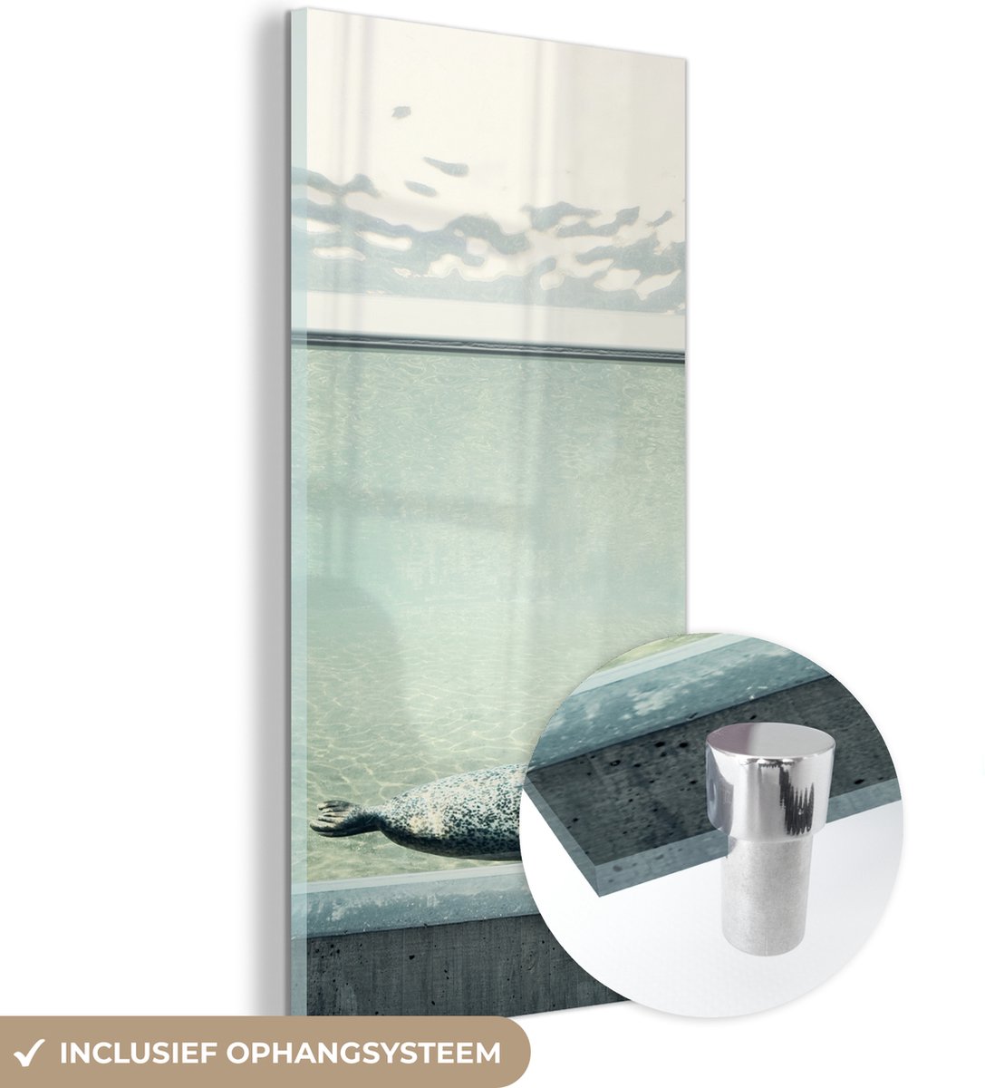 ® Glasschilderij 40x80 cm - Schilderij acrylglas - Zeehond in aquarium - Foto op glas - Muurdecoratie woonkamer - Wanddecoratie slaapkamer - Schilderijen