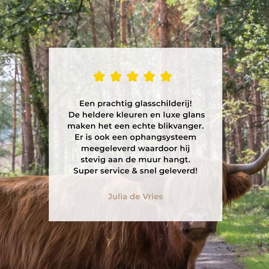 MuchoWow® Peinture sur verre 20x20 cm - Peinture sur verre acrylique - Forêt - Highland écossais - Lumière - Photo sur verre - Peintures