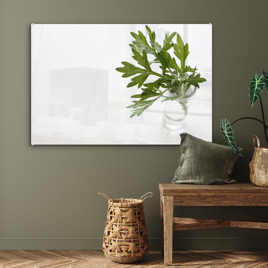 Gros plan des feuilles d'absinthe Plexiglas 120x80 cm - Tirage photo sur Glas (décoration murale plexiglas)