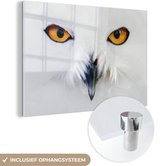 Image en gros plan d'un harfang des neiges Plexiglas 180x120 cm - Tirage photo sur Glas (décoration murale plexiglas) XXL / Groot format!