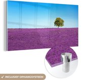 MuchoWow® Glasschilderij 80x40 cm - Schilderij acrylglas - Boom - Paars - Lucht - Lavendel - Foto op glas - Schilderijen
