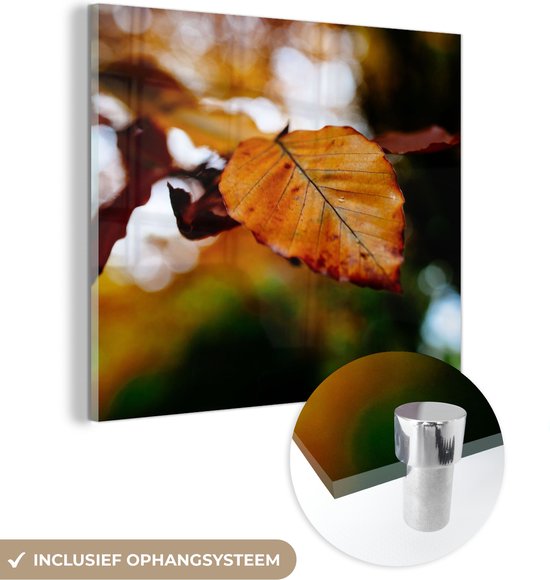 MuchoWow® Glasschilderij 50x50 cm - Schilderij acrylglas - Beuk - Herfst - Bladeren - Foto op glas - Schilderijen