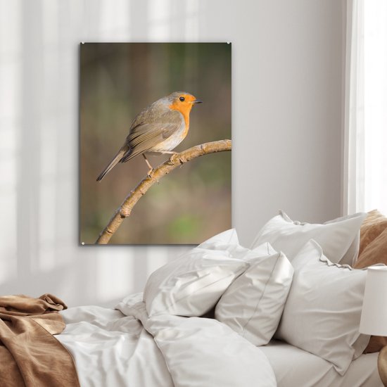 MuchoWow® Glasschilderij 60x80 cm - Schilderij acrylglas - Roodborstje - Vogel - Natuur - Foto op glas - Schilderijen