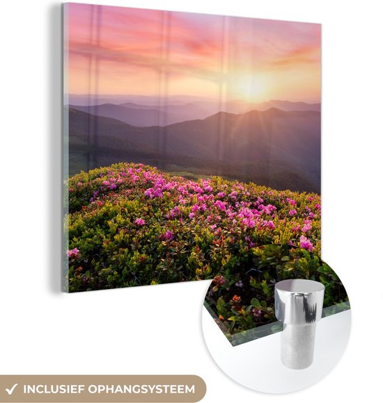 MuchoWow® Glasschilderij 50x50 cm - Schilderij acrylglas - Bloemen - Berg - Zonsondergang - Landschap - Foto op glas - Schilderijen