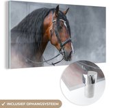 MuchoWow® Glasschilderij 80x40 cm - Schilderij acrylglas - Paard - Rook - Halster - Foto op glas - Schilderijen