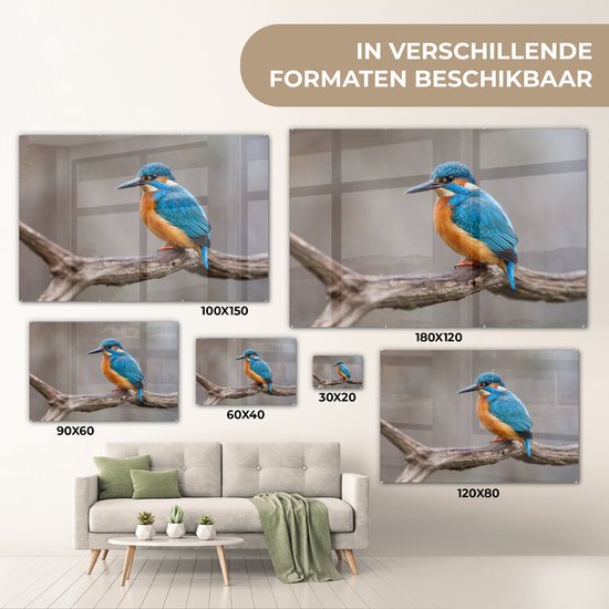 ® Glasschilderij 30x20 cm - Schilderij acrylglas - IJsvogel - Takken - Portret - Foto op glas - Muurdecoratie woonkamer - Wanddecoratie slaapkamer - Schilderijen
