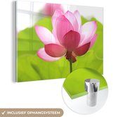 MuchoWow® Glasschilderij 120x80 cm - Schilderij acrylglas - Bloemen - Bladeren - Roze - Foto op glas - Schilderijen