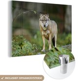 MuchoWow® Glasschilderij 90x60 cm - Schilderij acrylglas - Wolf - Dieren - Bos - Foto op glas - Schilderijen