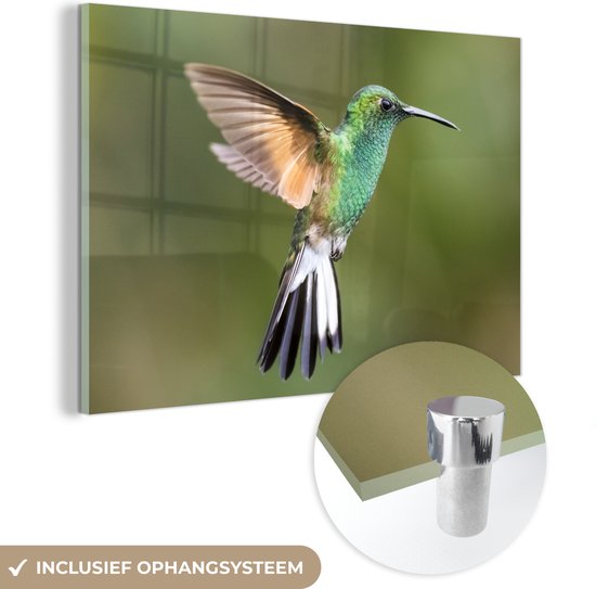 Glasschilderij - Kolibrie - Vogels - Veren - Acrylglas Schilderijen - Foto op Glas