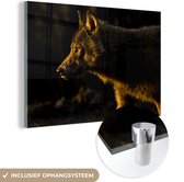 Peinture sur Verre - Loup - Prédateur - Soleil - 120x80 cm - Peintures sur Verre Peintures - Photo sur Glas