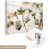 MuchoWow® Glasschilderij 60x40 cm - Schilderij acrylglas - Bloemen - Vetplant - Takken - Foto op glas - Schilderijen
