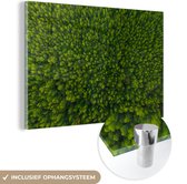 MuchoWow® Glasschilderij 30x20 cm - Schilderij acrylglas - Bos - Boom - Groen - Foto op glas - Schilderijen