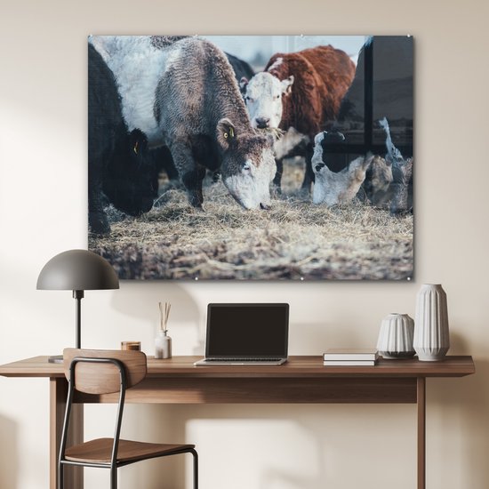 MuchoWow® Peinture sur Verre - Animaux - Vache - Ferme - 120x90 cm - Peintures sur Verre Acrylique - Photo sur Glas