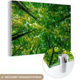 MuchoWow® Glasschilderij 30x20 cm - Schilderij acrylglas - Bos - Bomen - Groen - Foto op glas - Schilderijen
