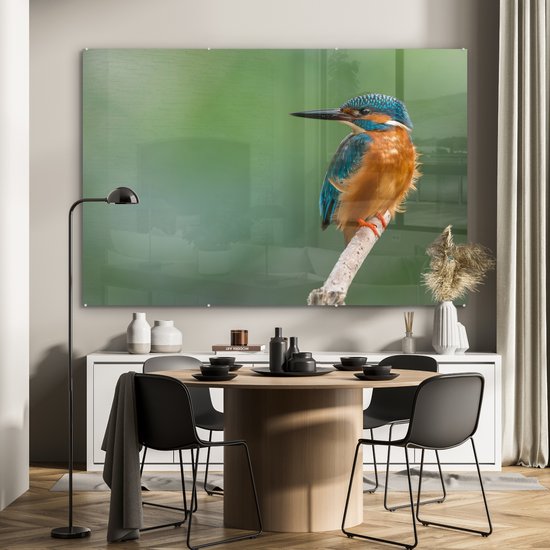 MuchoWow® Peinture sur verre 150x100 cm - Peinture sur verre - Martin-pêcheur - Branches - Proie - Photo sur verre acrylique - Peintures