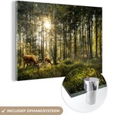 Peintures Plexiglas - Cerf - Nature - Forêt - 180x120 cm - Peintures sur verre