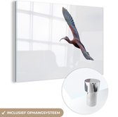 Flying Japanese Crested ibis Plexiglass 90x60 cm - Tirage photo sur Glas (décoration murale en plexiglas)