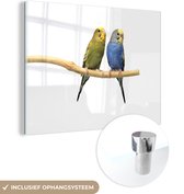 MuchoWow® Glasschilderij 40x30 cm - Schilderij acrylglas - Twee parkieten op een tak - Foto op glas - Schilderijen