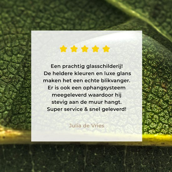 MuchoWow® Peinture sur verre 60x40 cm - Peinture sur verre - Photo de goutte d'eau sur une feuille botanique - Photo sur verre acrylique - Peintures