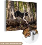 MuchoWow® Peinture sur verre 120x90 cm - Peinture sur verre acrylique - Un border collie noir et blanc sautant par-dessus un tronc d'arbre - Photo sur verre - Peintures