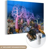 MuchoWow® Glasschilderij 120x80 cm - Schilderij acrylglas - Koraal onder water - Foto op glas - Schilderijen