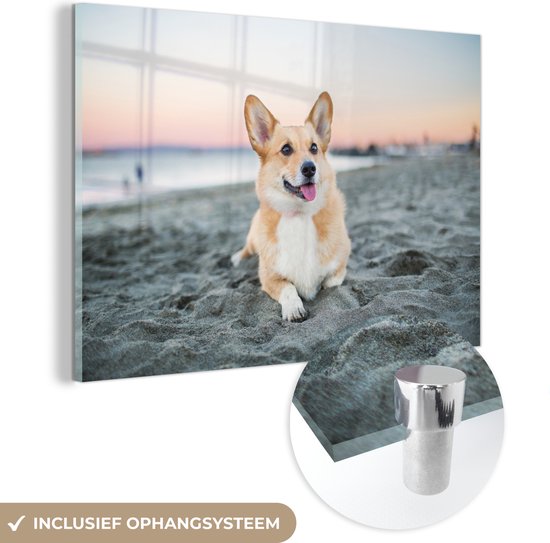 Glasschilderij - Hond op het strand - Plexiglas Schilderijen