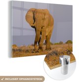 MuchoWow® Glasschilderij 60x40 cm - Schilderij acrylglas - Afrikaanse olifant in het zand - Foto op glas - Schilderijen